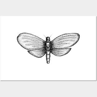 A funny squeak Moth Posters and Art